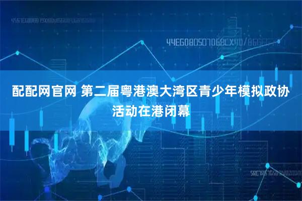 配配网官网 第二届粤港澳大湾区青少年模拟政协活动在港闭幕