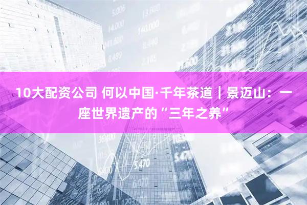 10大配资公司 何以中国·千年茶道｜景迈山：一座世界遗产的“三年之养”